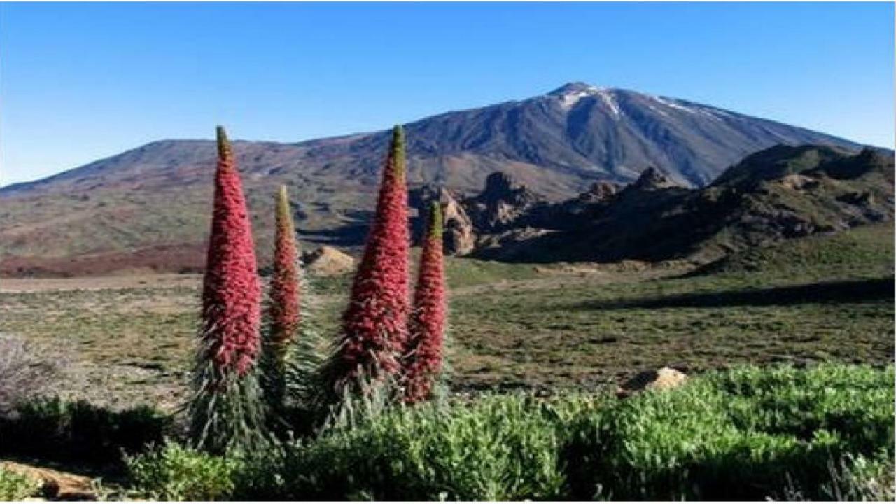 Apartamento Primavera Costa Del Silencio Bagian luar foto